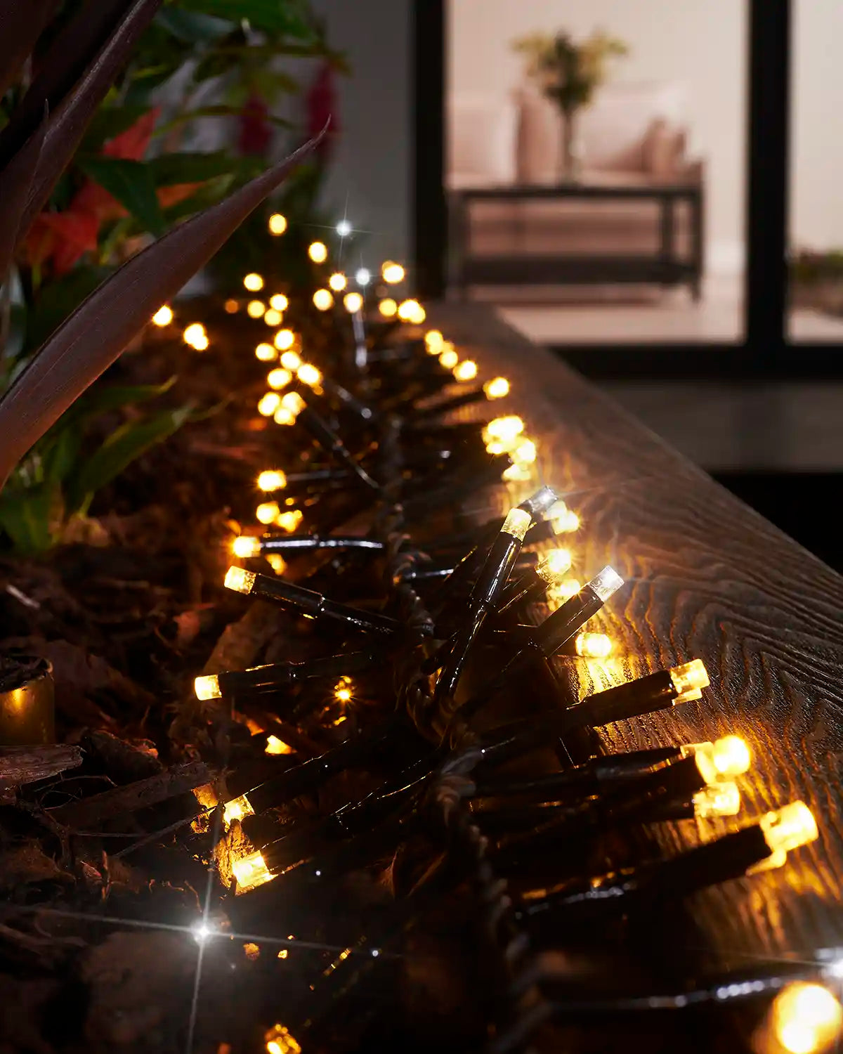 Mixed warm white and white cluster lights arranged along an outdoor garden border.