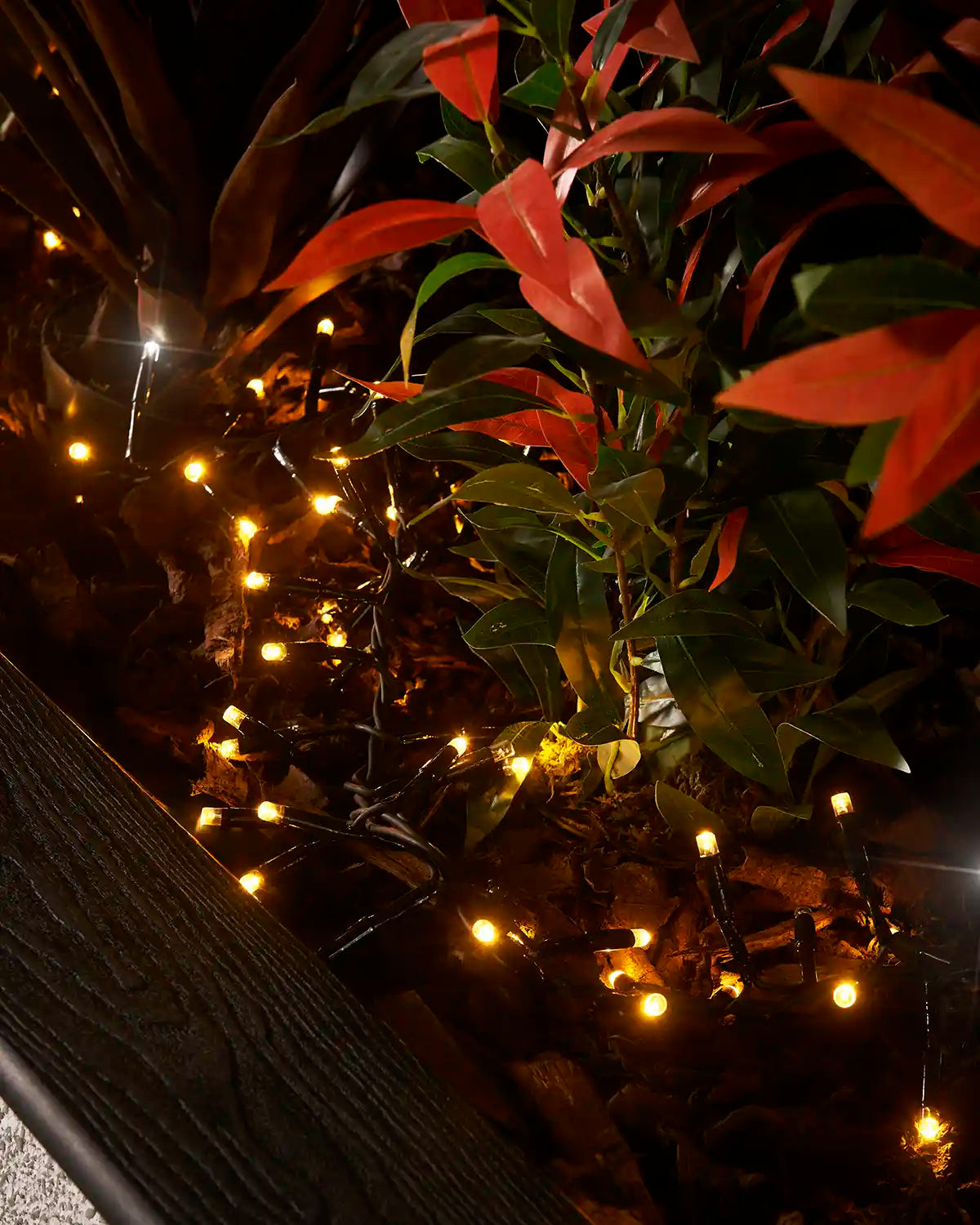 Mixed warm white and white cluster lights displayed among outdoor plants and bark.