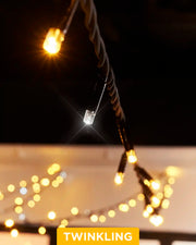 Close-up of mixed warm white and white twinkle string lights on black cable.