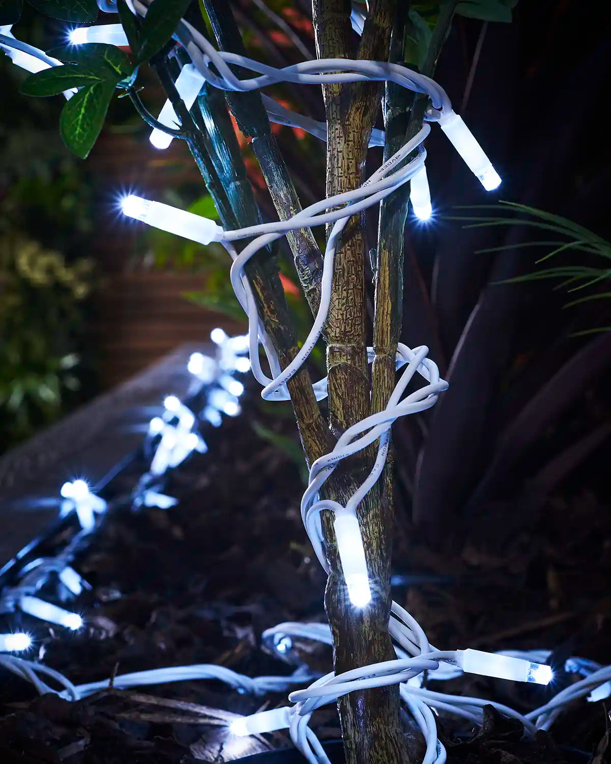 White LED string lights wrapped around a small tree trunk in a planter.