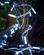 White LED string lights wrapped around a small tree trunk in a planter.