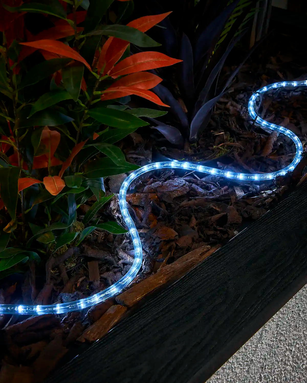 White rope light laid through bark around plants beside a raised garden border.