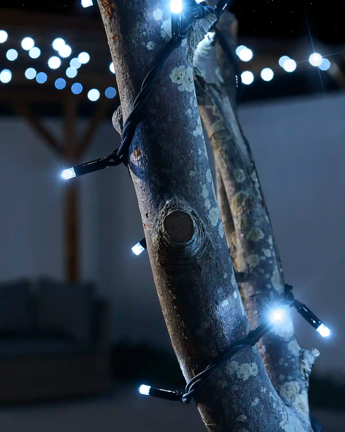 White twinkle LED string lights glowing against a tree branch on a black cable.