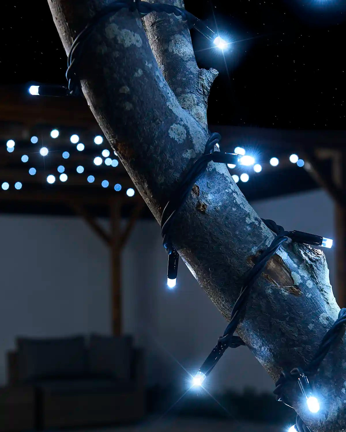 Close-up of white twinkle LED string lights with a black cable wrapped around a tree branch.
