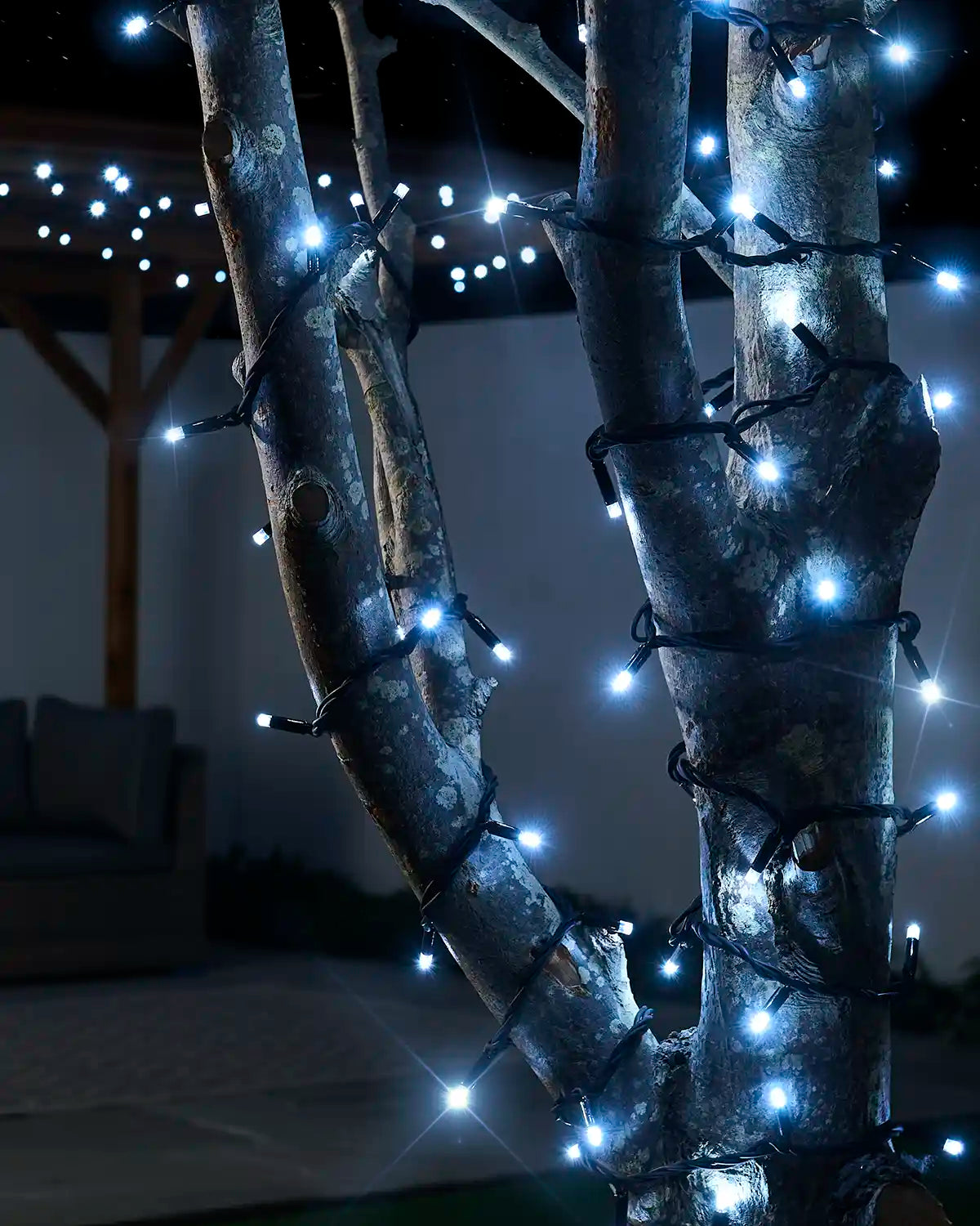 White Pro Series twinkle string lights with a black cable wrapped around tree trunks outdoors.