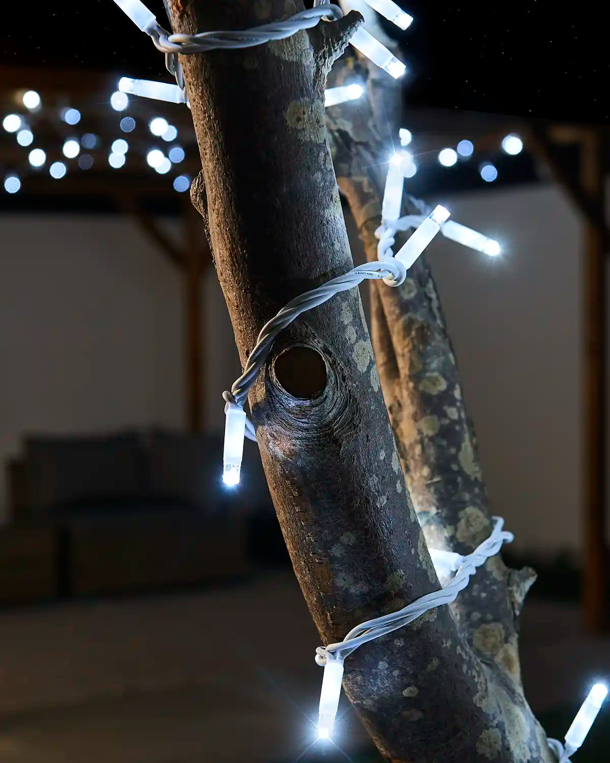 White twinkle LED string lights glowing on a tree branch with a white cable.