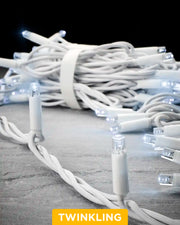 Close-up of white Pro Series twinkle string lights with a white cable on a grey surface.