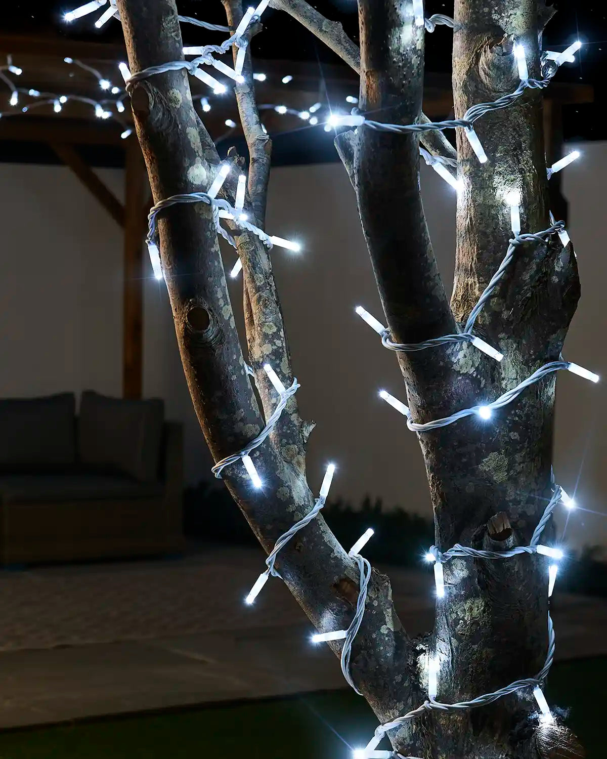 White Pro Series twinkle string lights with a white cable wrapped around tree trunks outdoors.