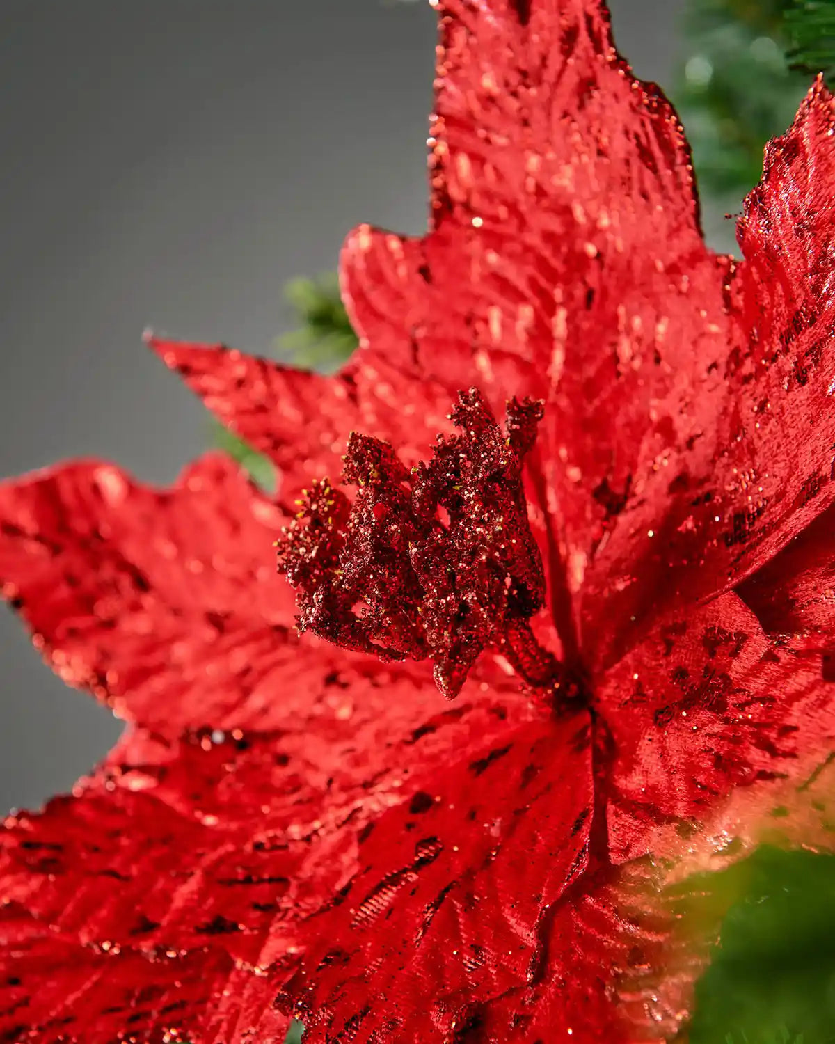 Close-up of the textured centre and glitter detail on the red poinsettia flower