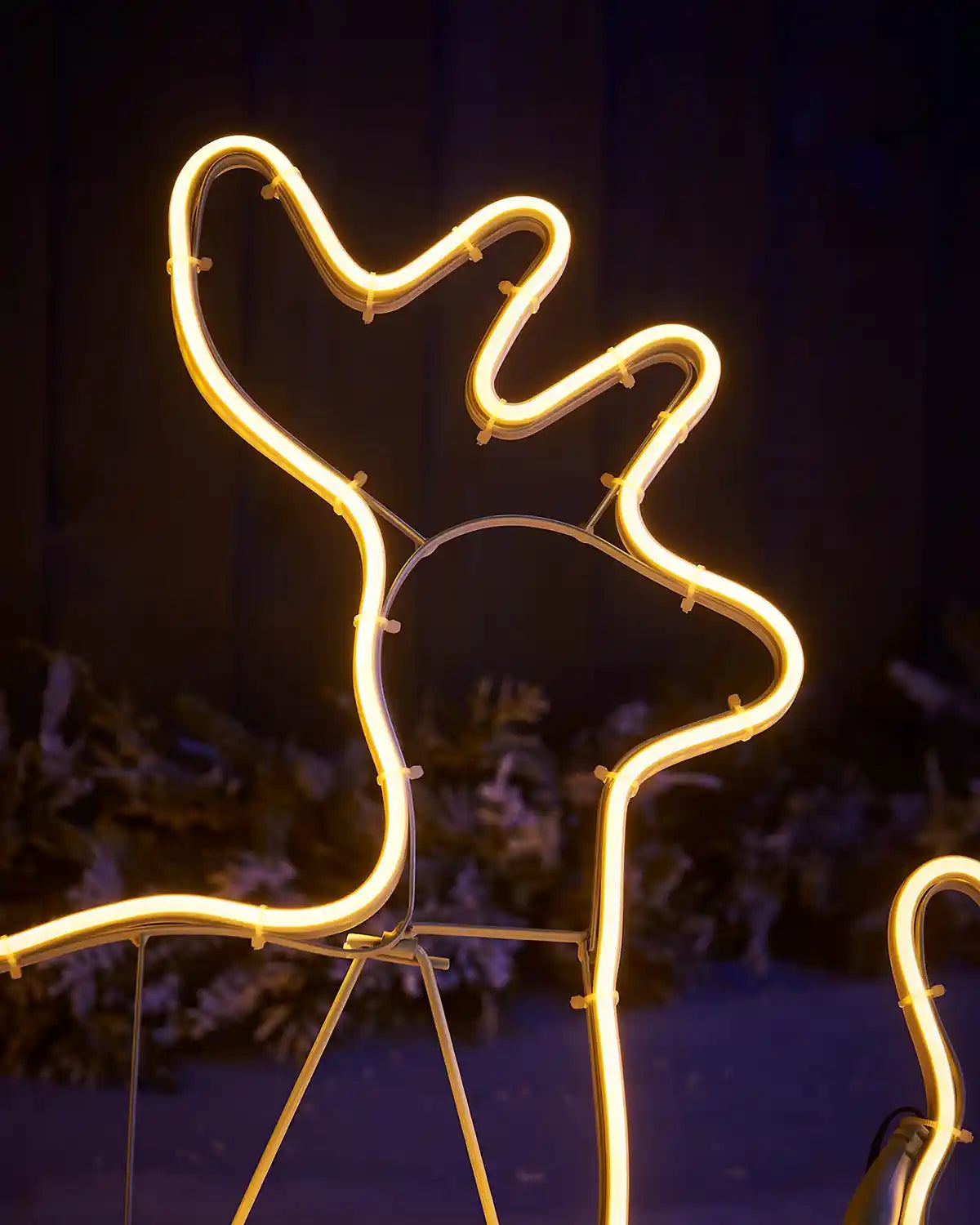 Close-up of the reindeer head and antlers on the warm white neon rope light display