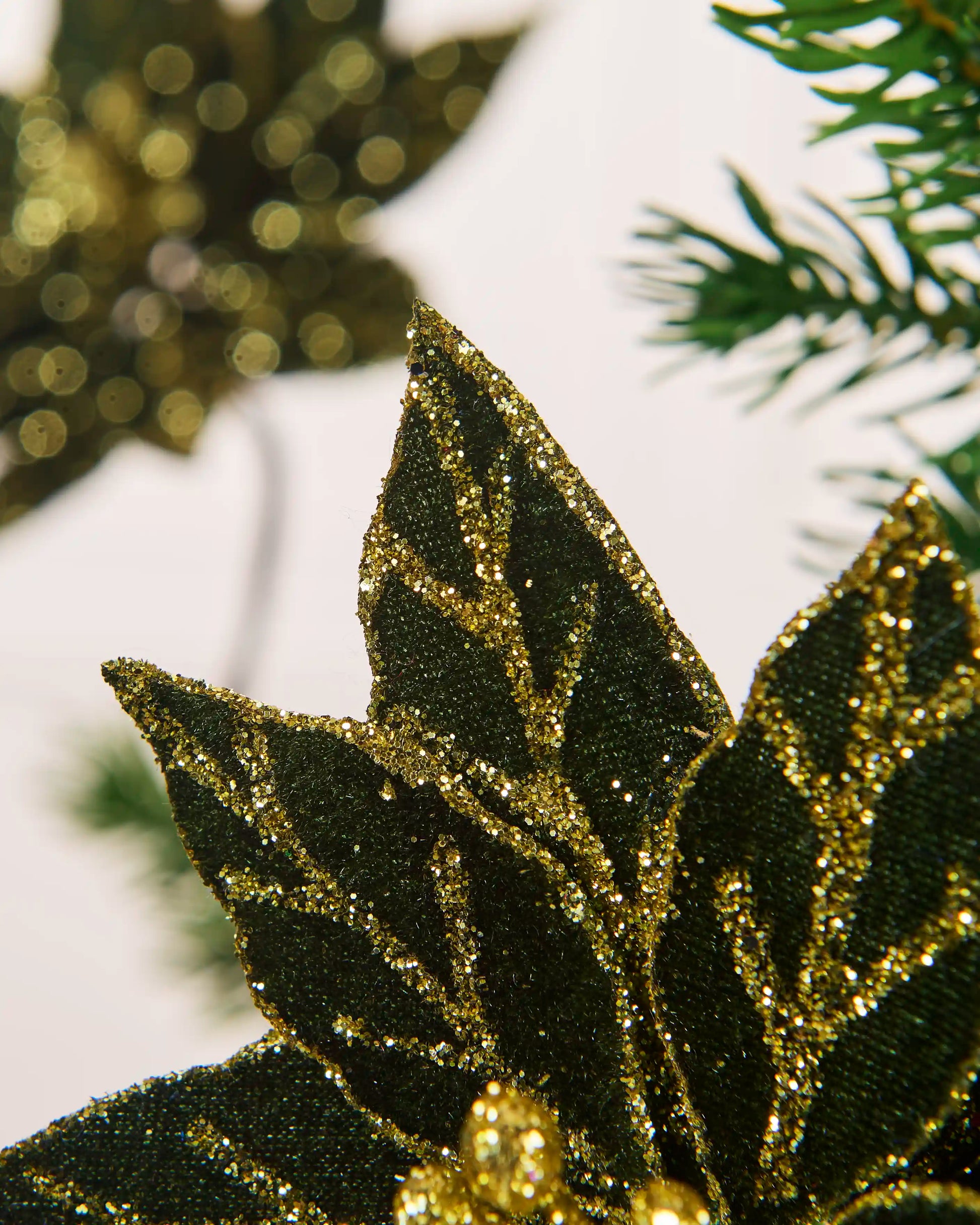 Close-up of sage green poinsettia leaves with gold glitter edging and vein detailing.