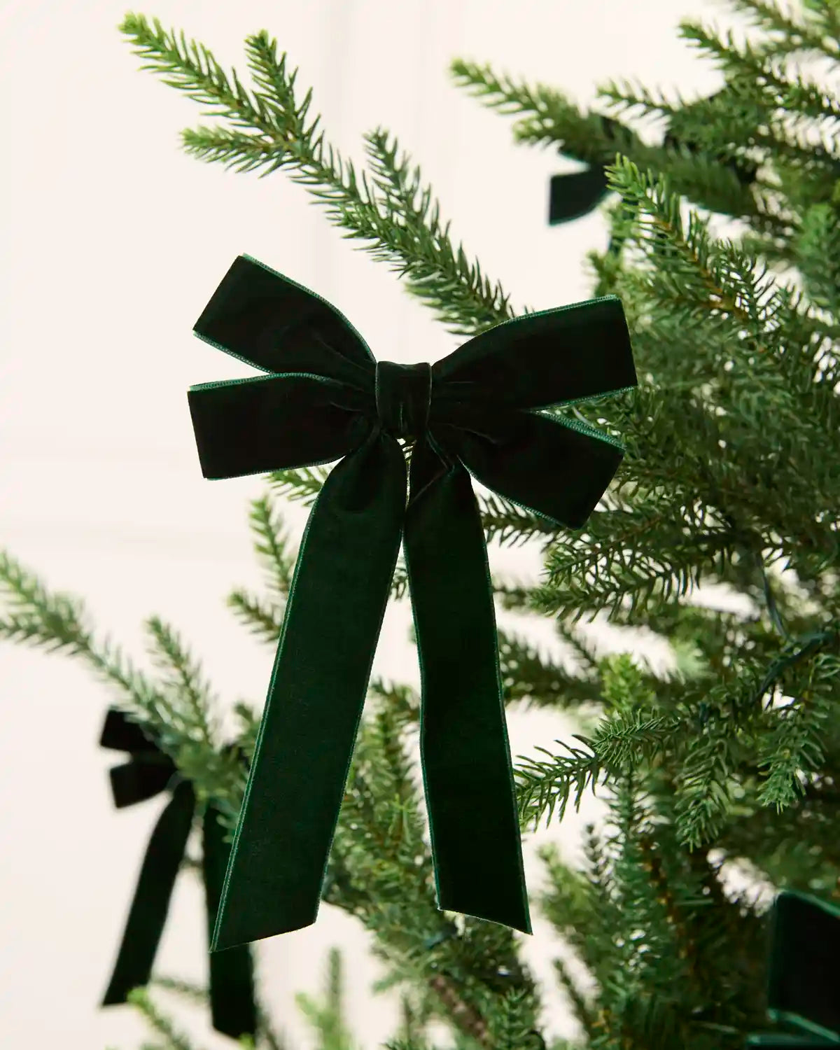 Sage green velvet double bow displayed among multiple matching bows on a Christmas tree.