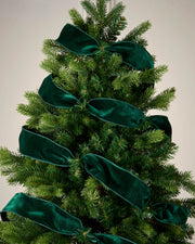 Sage green velvet ribbon wrapped around a Christmas tree as a festive decoration.