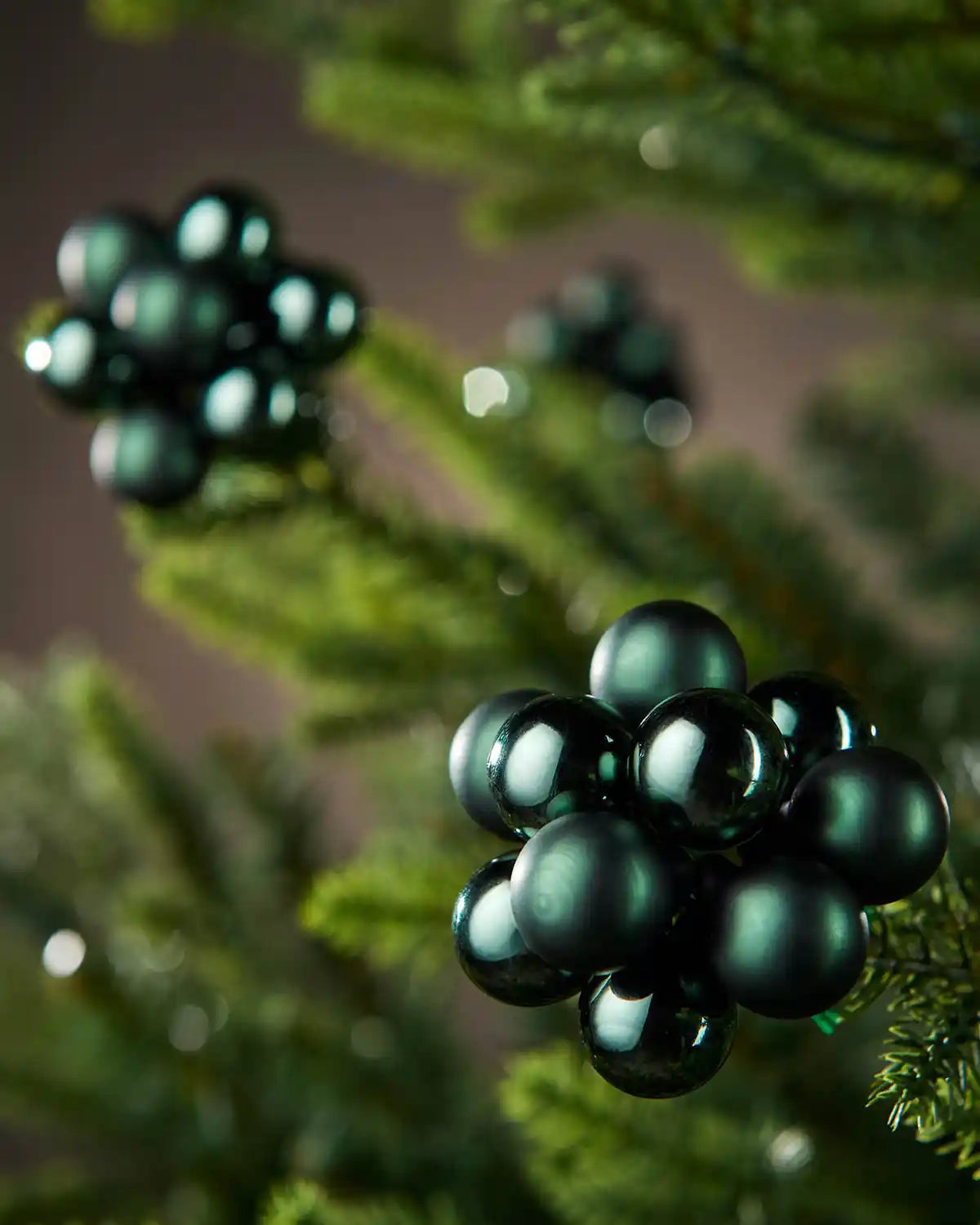 sage Green berries on a branch against a blurred background