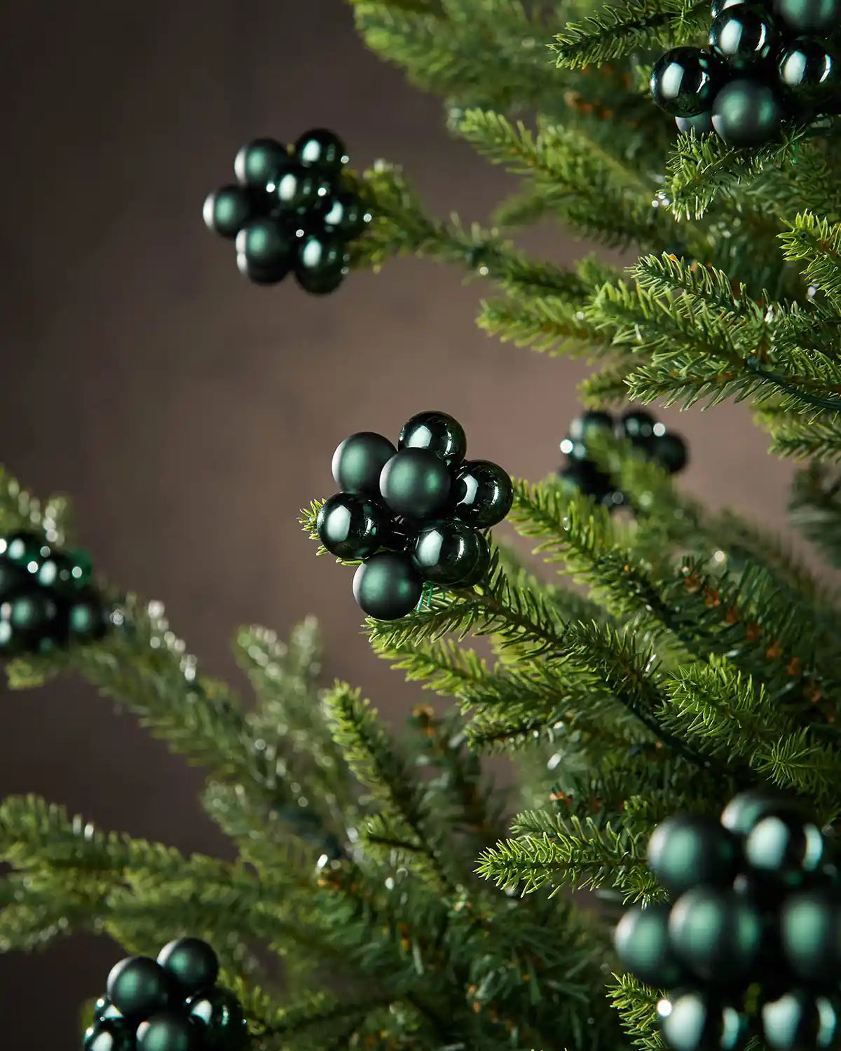 sage Green berries on a branch against a brown background