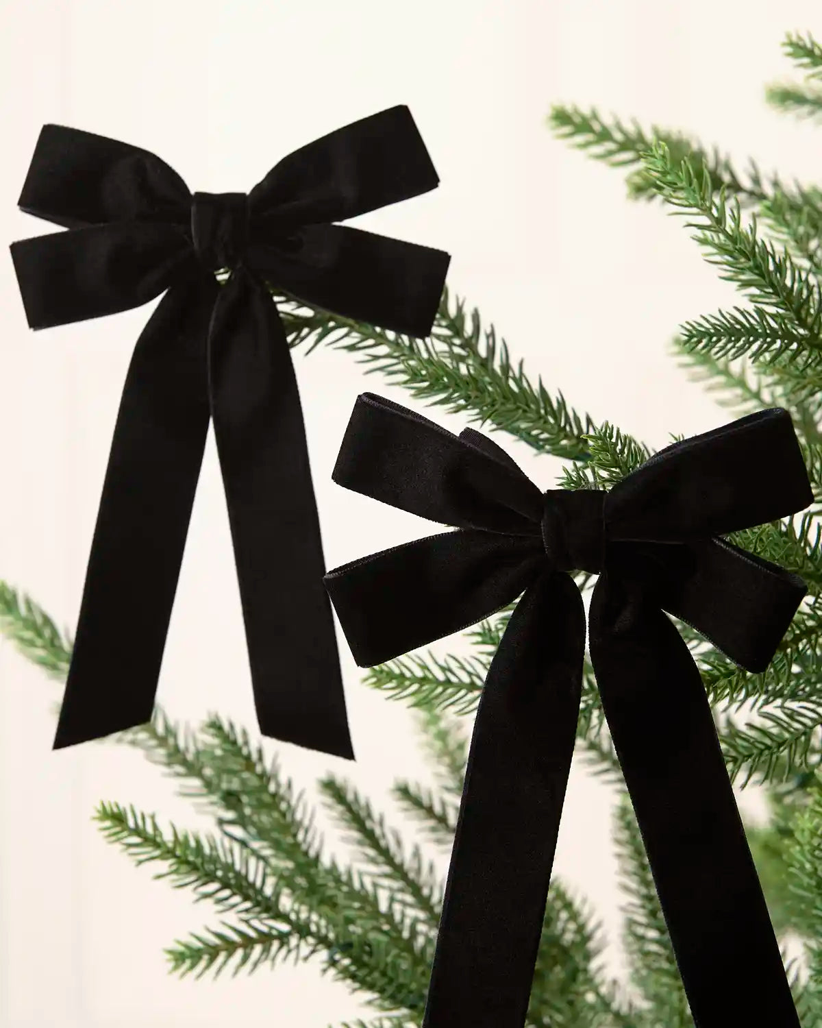 Two black velvet double bows with long tails arranged across Christmas tree branches.