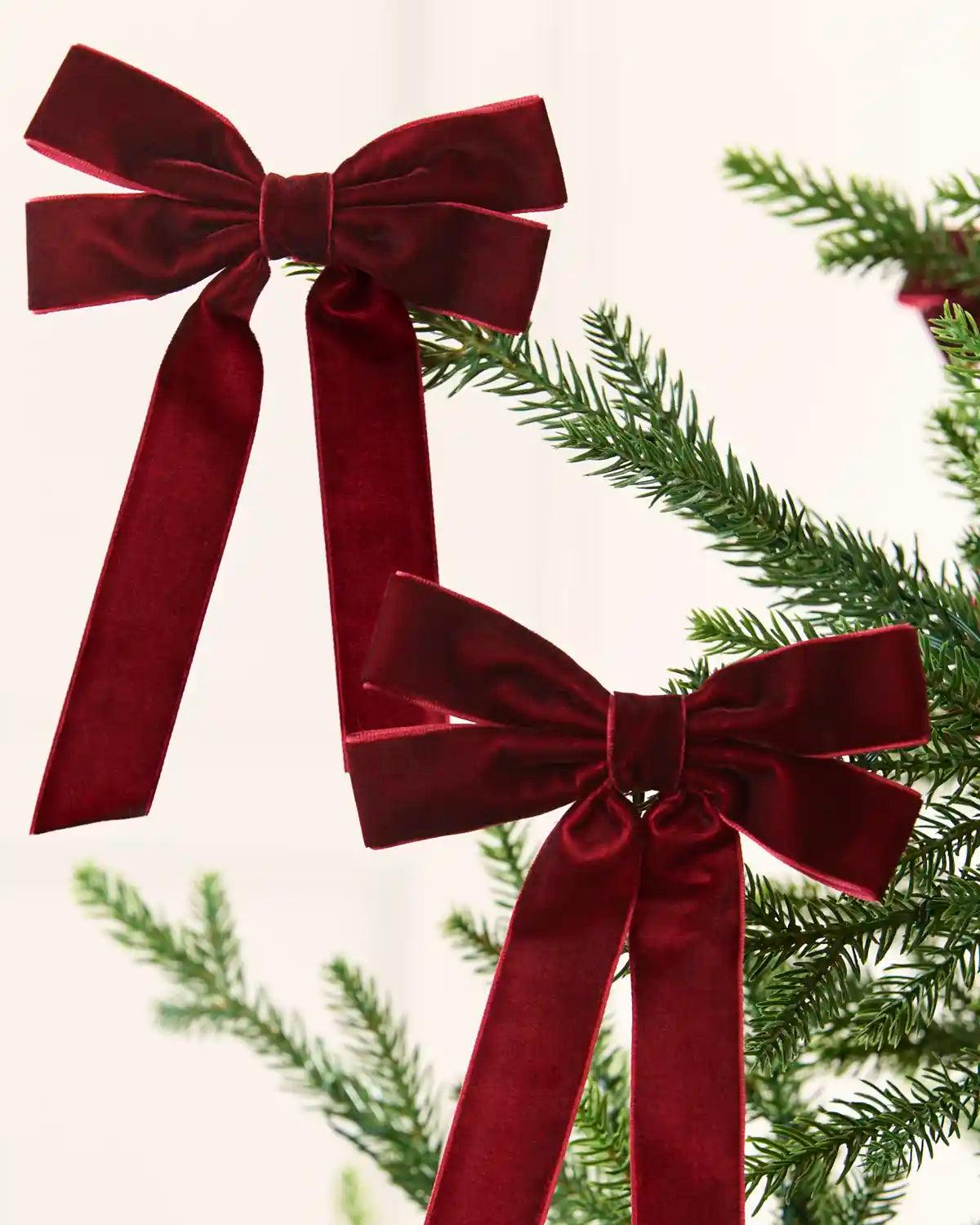 Two burgundy velvet double bows with long tails arranged across Christmas tree branches.