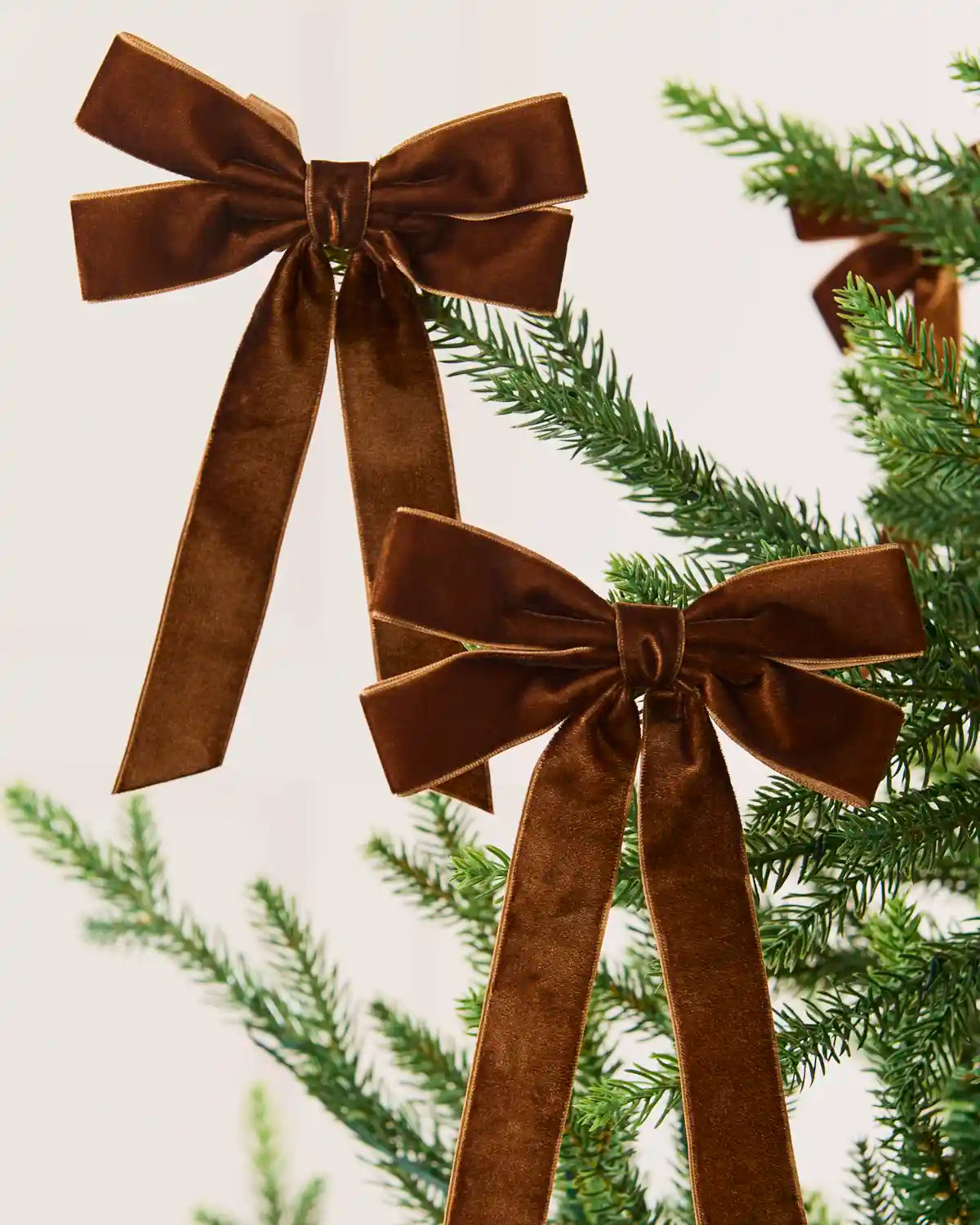 Two espresso velvet double bows with long tails arranged across Christmas tree branches.