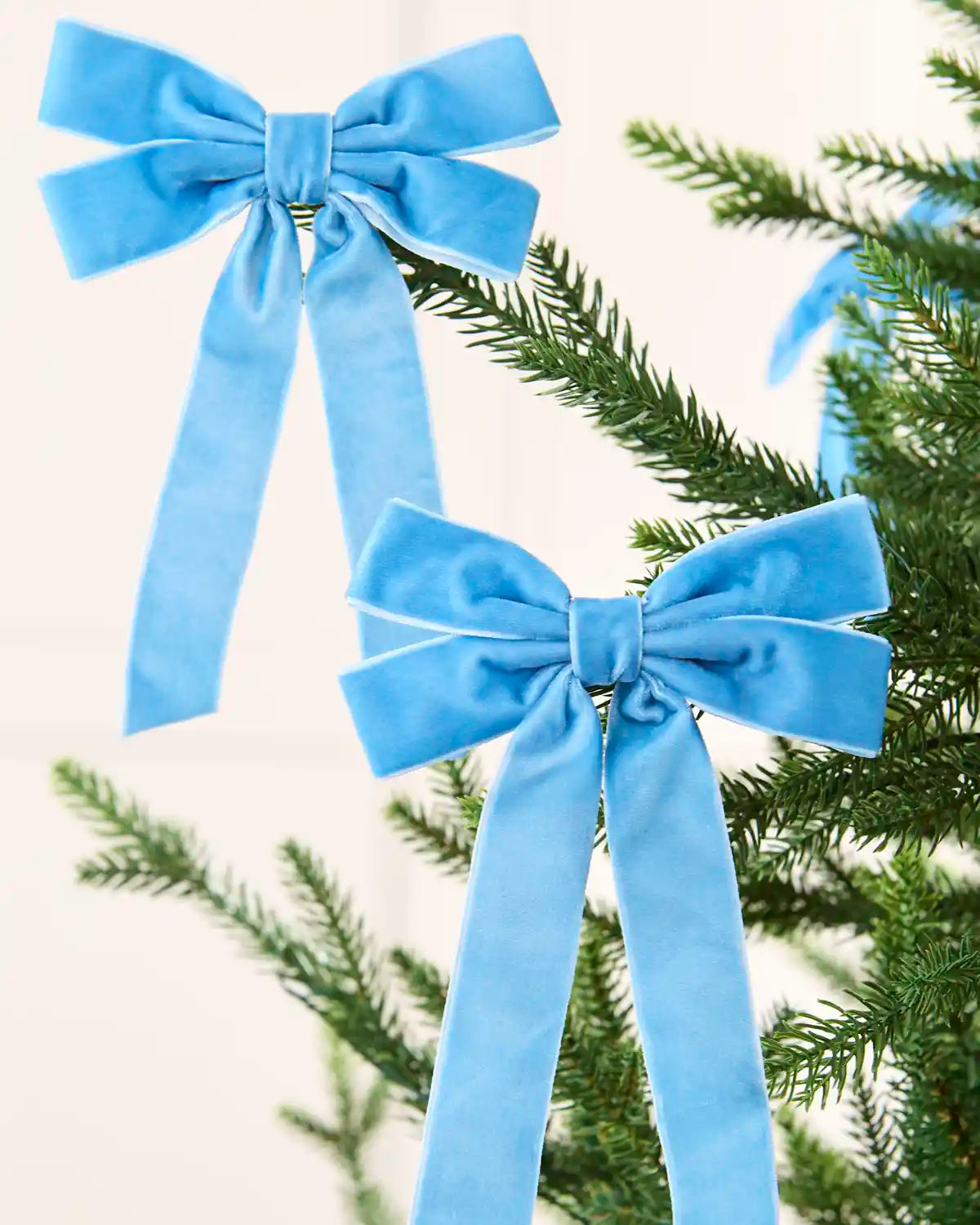 Two ice blue velvet double bows with long tails arranged across Christmas tree branches.