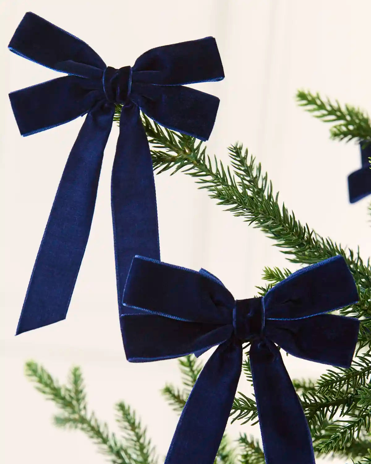 Two navy velvet double bows with long tails arranged across Christmas tree branches.