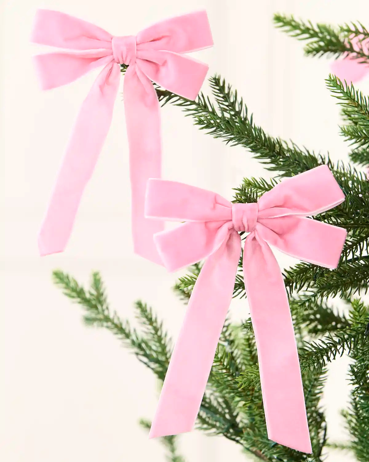 Two pink velvet double bows with long tails arranged across Christmas tree branches.