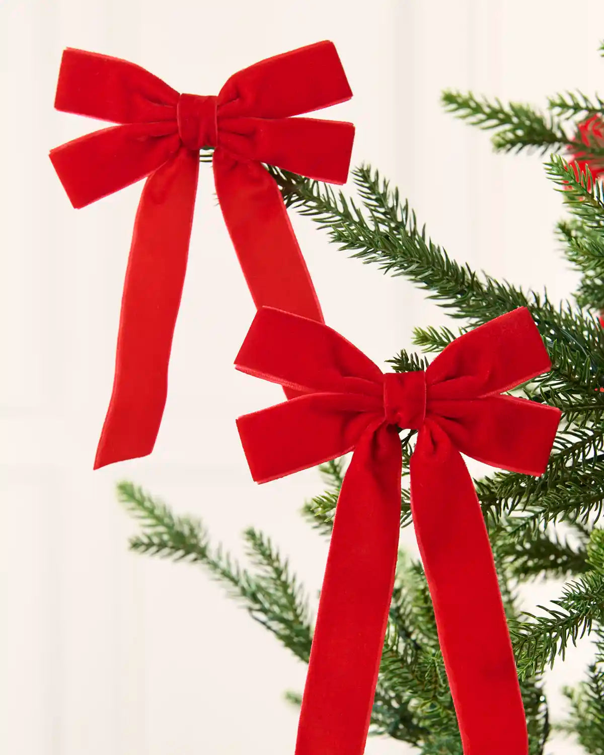 Two red velvet double bows with long tails arranged across Christmas tree branches.