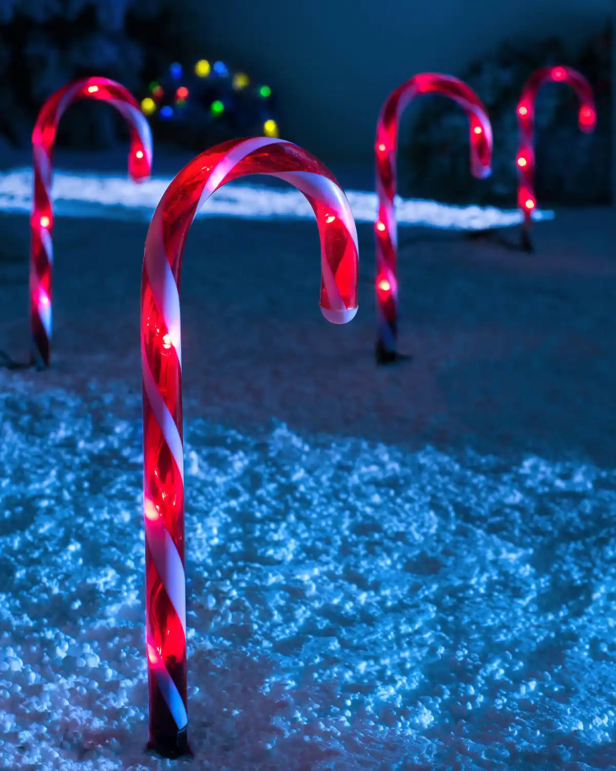 Red and white candy cane pathway lights illuminated outdoors in a festive night display