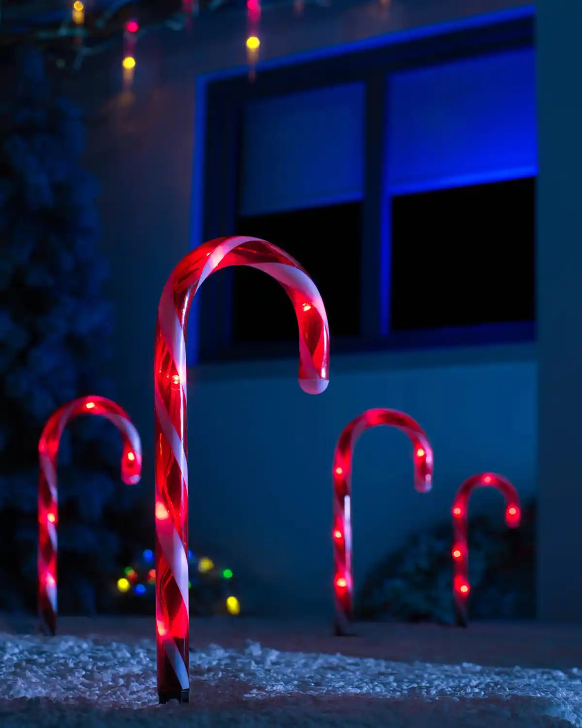 Candy cane pathway lights glowing red in an outdoor Christmas pathway scene