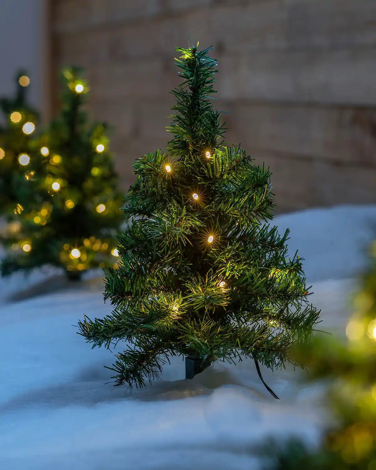 Illuminated Christmas tree pathway stake lights glowing outdoors at night