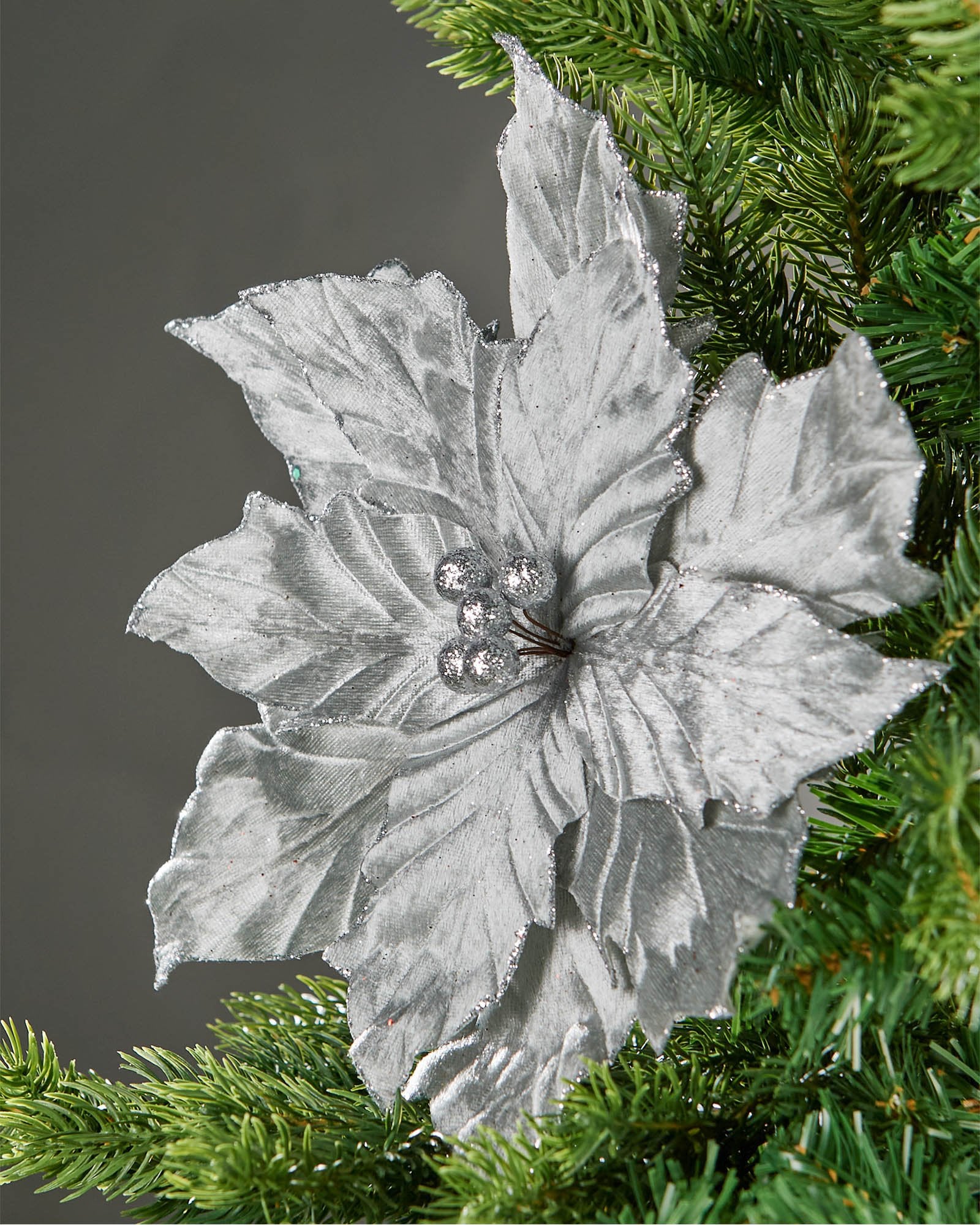 Silver artificial poinsettia flower displayed on a green Christmas tree.