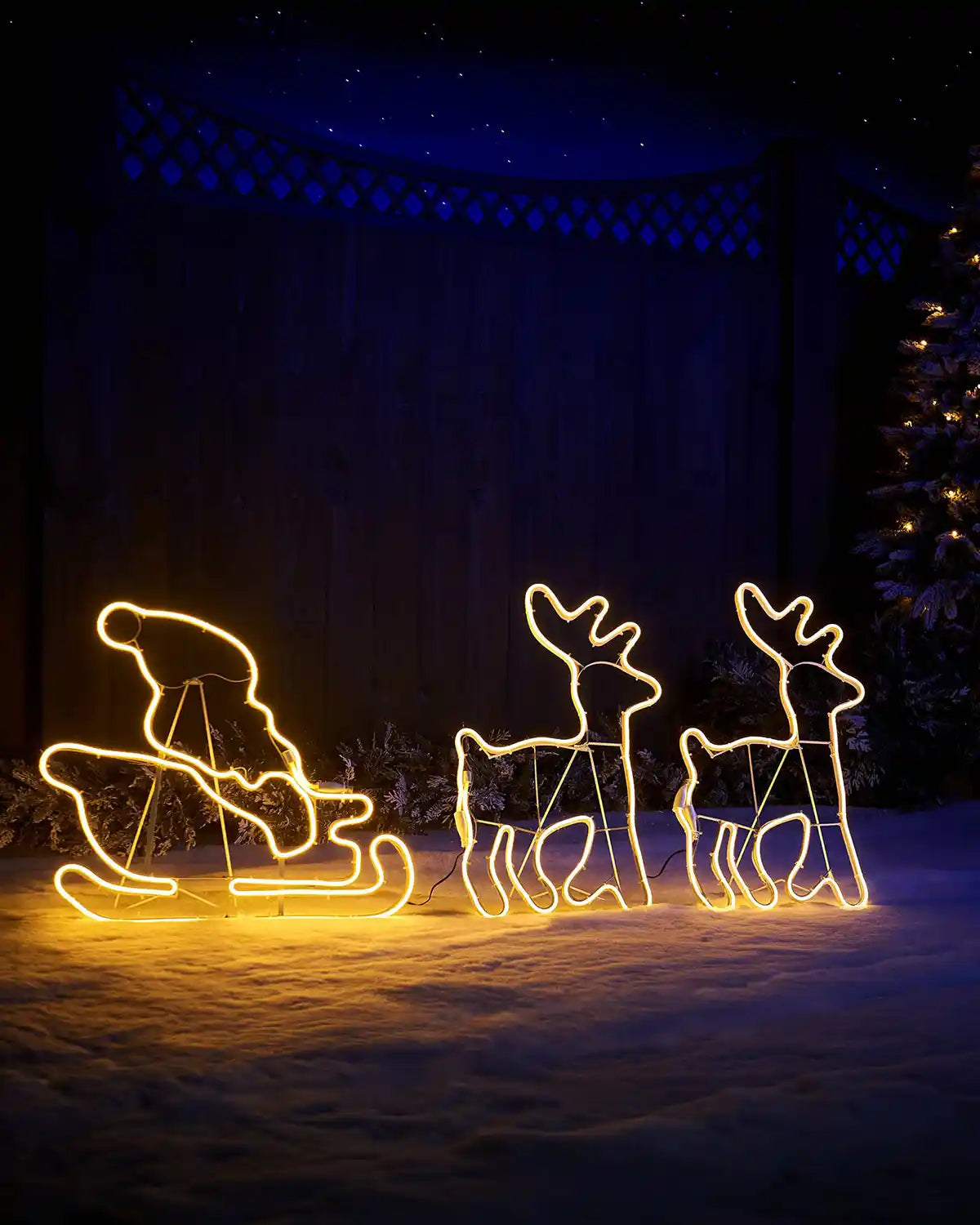 Twin reindeers with Santa sleigh neon rope light displayed outdoors in a festive setting
