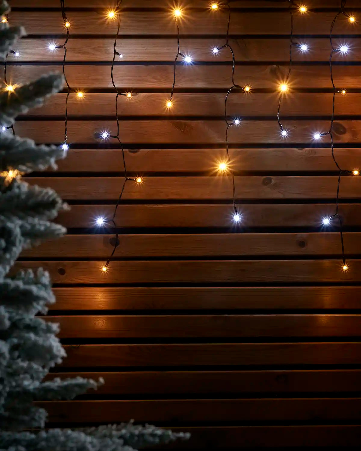 Warm white and white icicle lights on black cable displayed against a wooden wall with a frosted tree at the side.