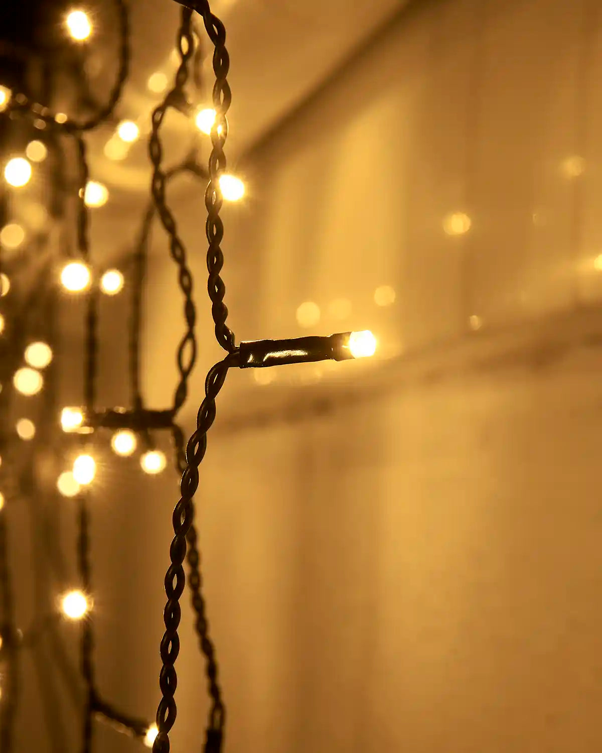 Close-up of warm white LED bulbs on black cable.