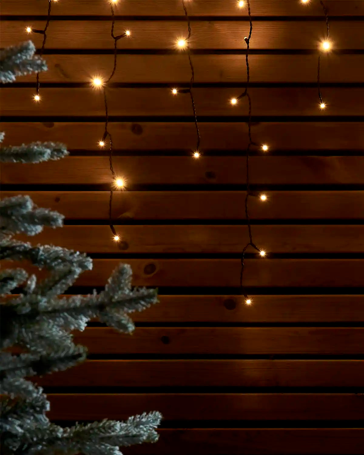 Warm white icicle lights on black cable hanging against a wooden wall beside a frosted Christmas tree.