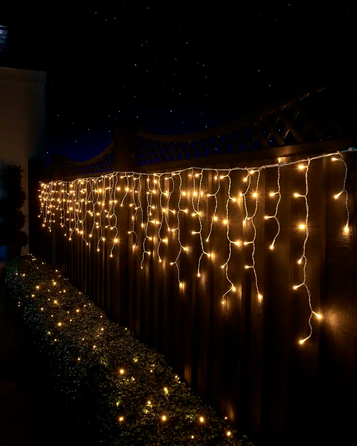 Warm white icicle lights on white cable displayed along a garden fence above a lit hedge at night.