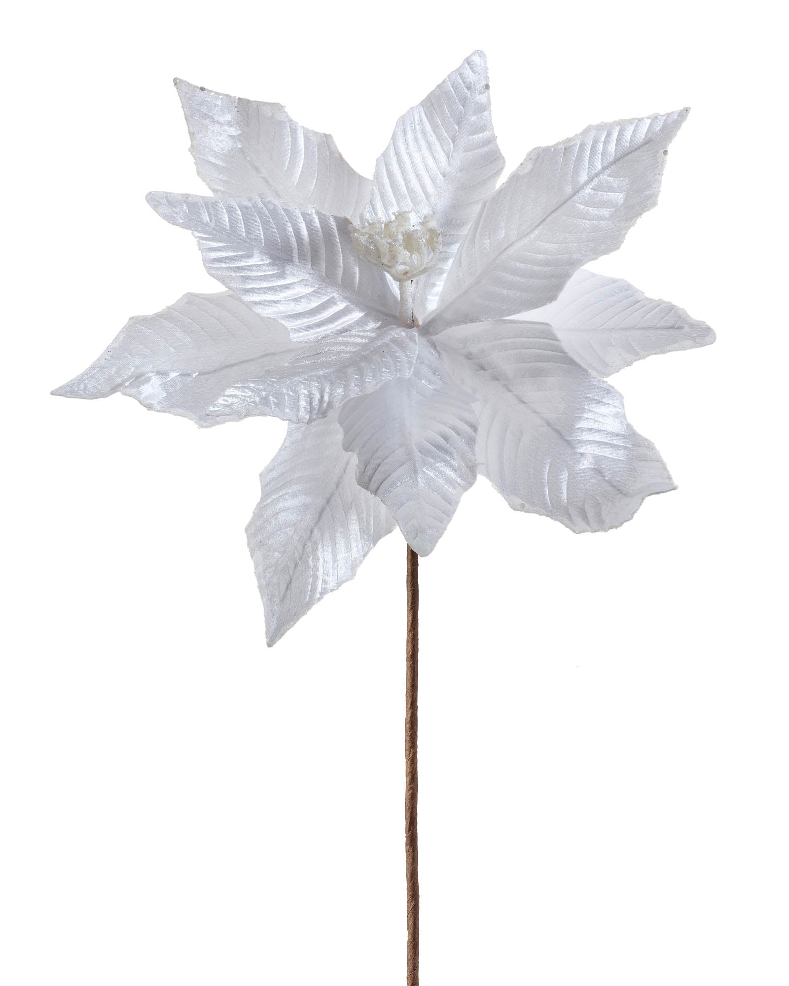 White artificial poinsettia flower decoration on white background