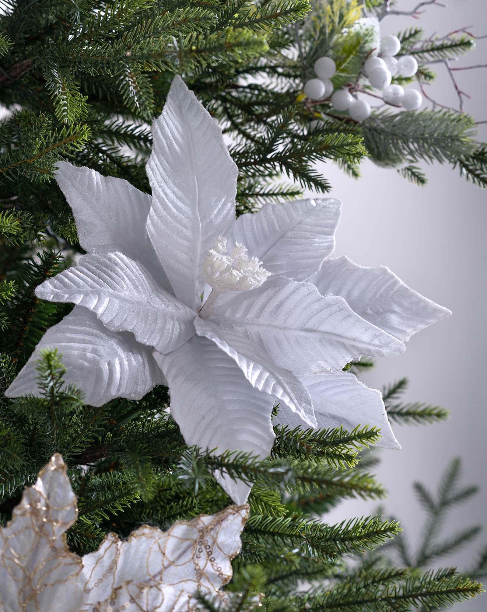 White artificial poinsettia flower displayed on Christmas tree