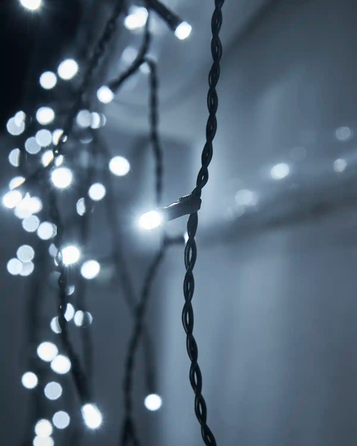 Close-up of white LED bulbs on black cable.