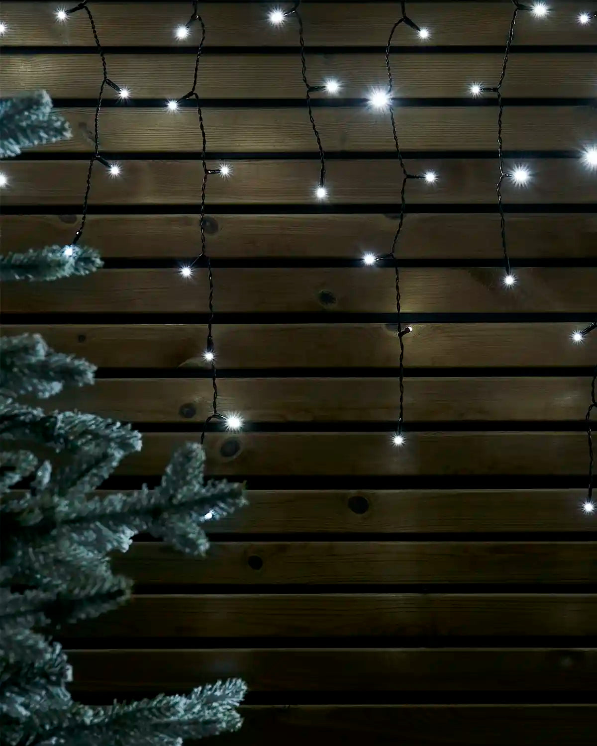 White icicle lights on black cable hanging against a wooden wall beside a frosted Christmas tree.