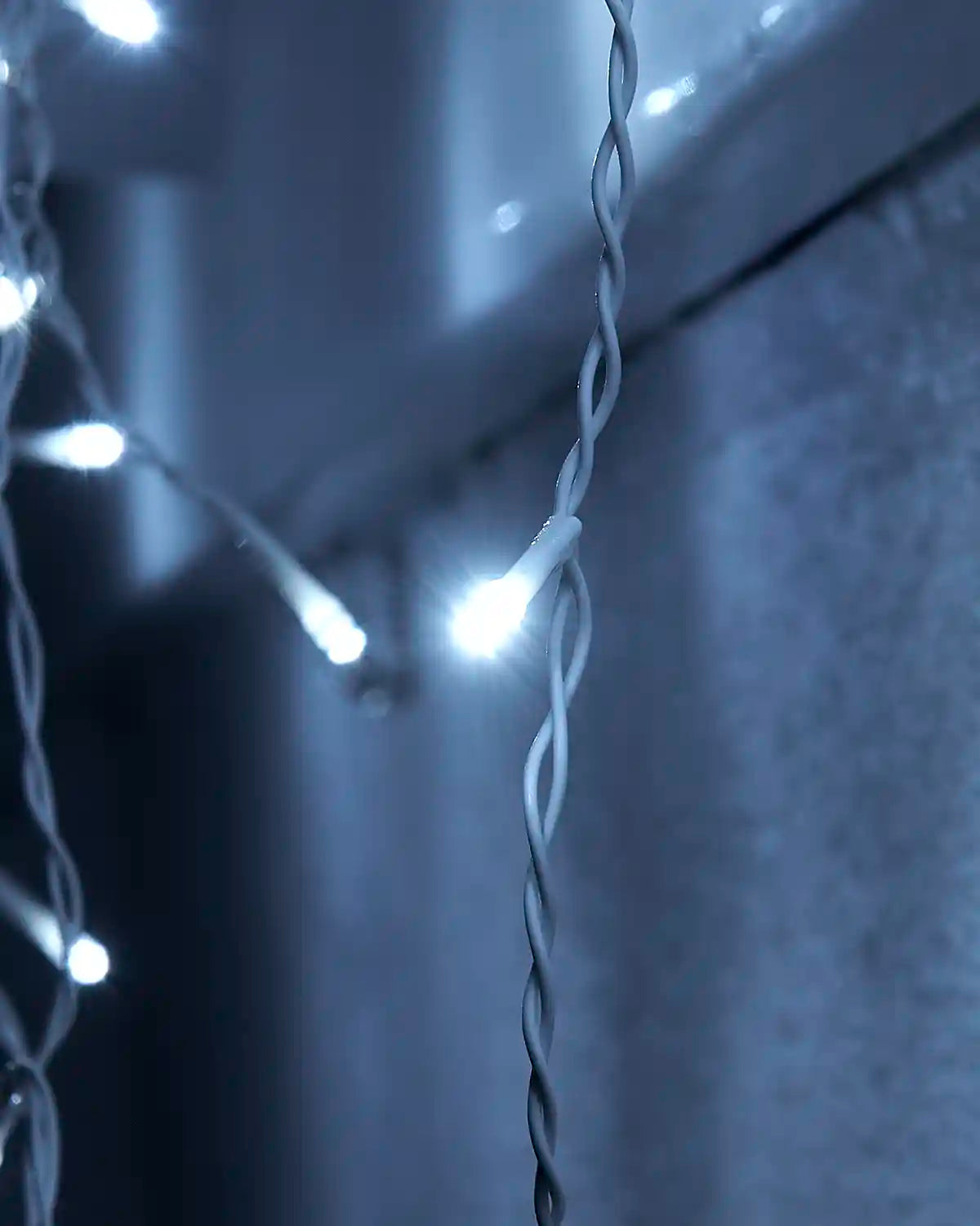 Close-up of white icicle light LEDs and white cable.