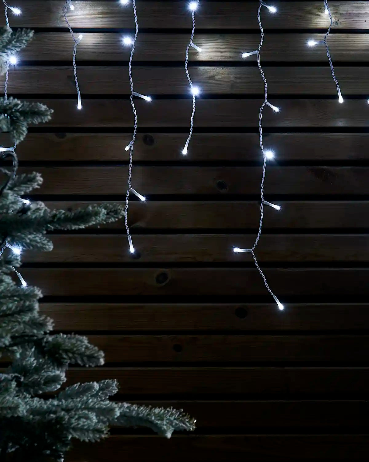 White icicle lights on white cable hanging against a wooden wall beside a frosted Christmas tree.