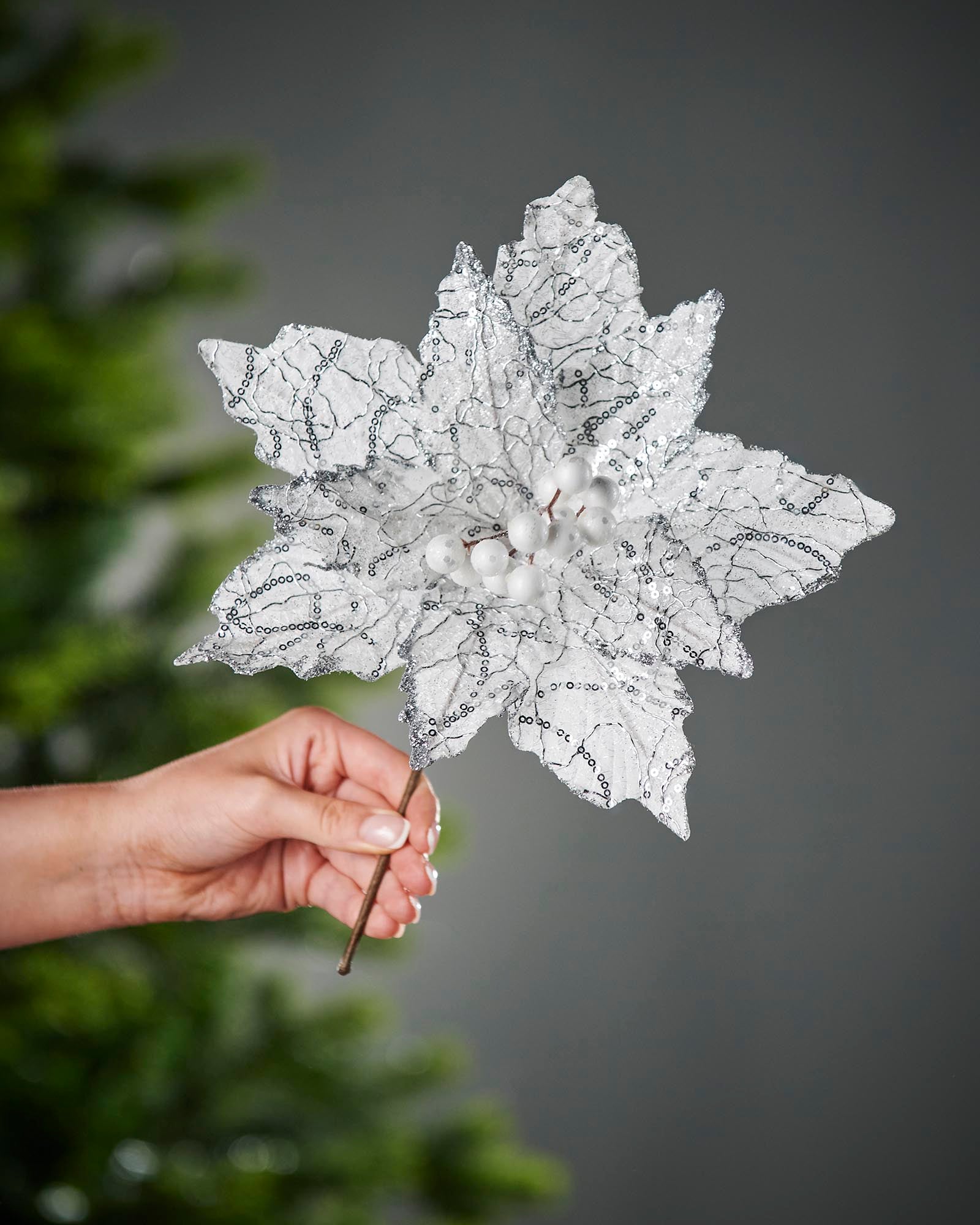 White artificial poinsettia flower held in hand for size reference