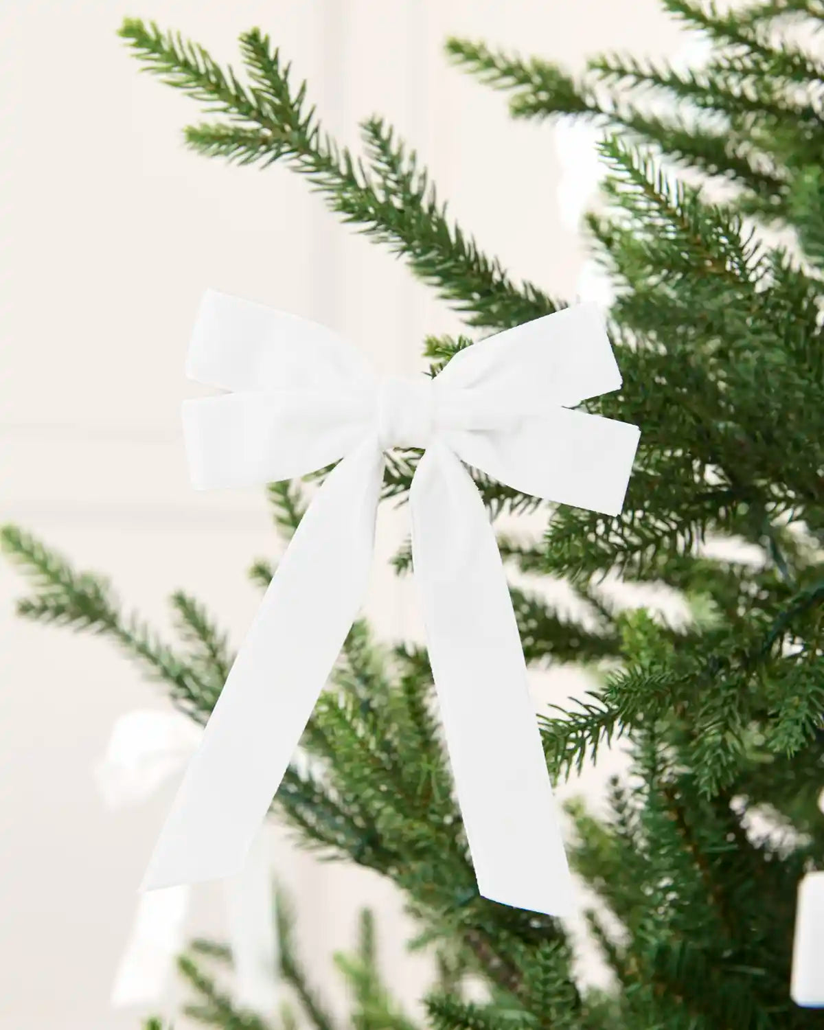 White velvet double bow displayed among matching bows on a Christmas tree.