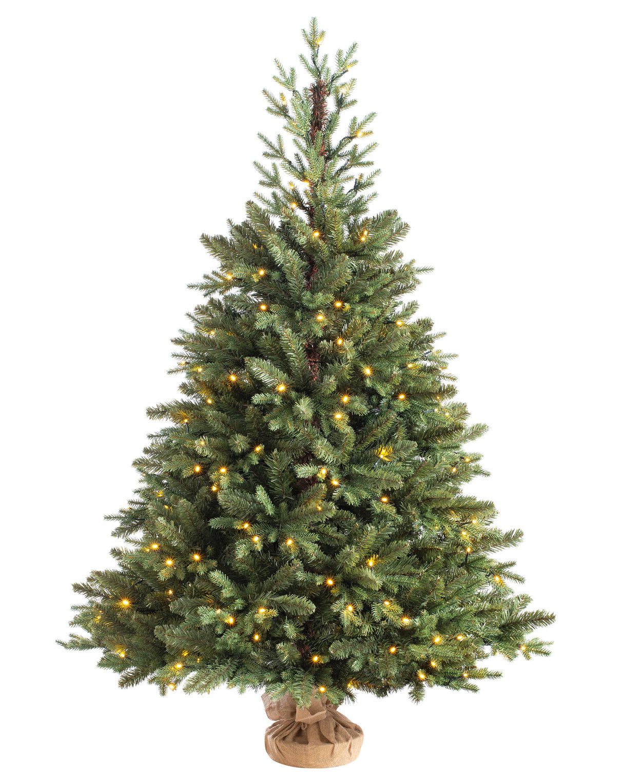 Pre-Lit Norway Spruce Potted Christmas Tree