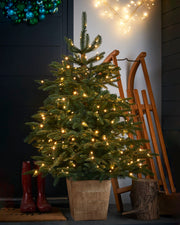 4-foot pre-lit potted Alaskan Fir Christmas tree with warm white LED lights, 921 mixed PE and PVC tips, set in a wooden crate and surrounded by festive home décor including decorative lights and a sled.