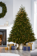 Pre-Lit Foxtail Pine Christmas Tree