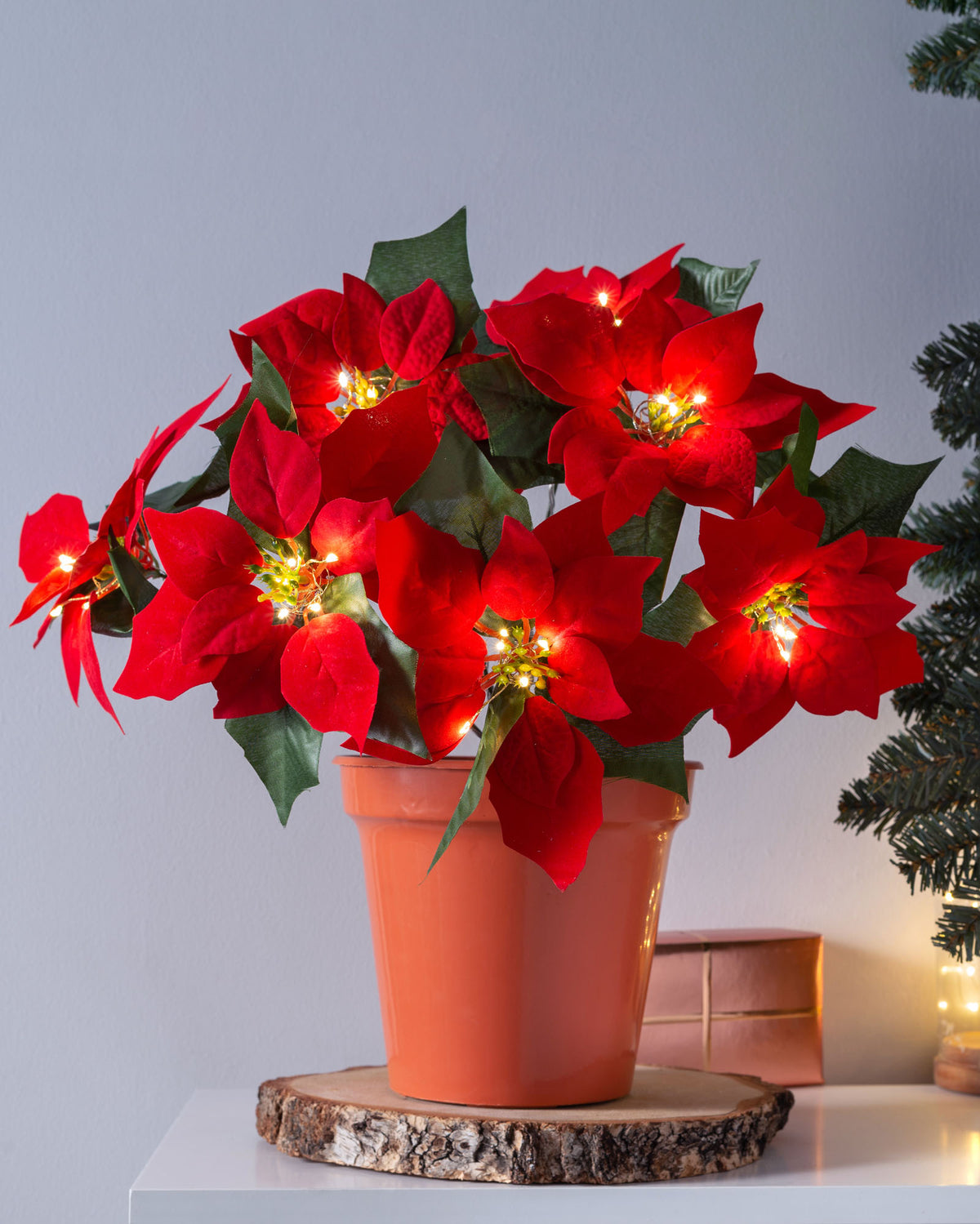 Pre-Lit Poinsettia Flowerpot Plant, 45 cm
