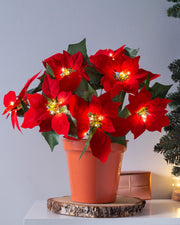 Pre-Lit Poinsettia Flowerpot Plant, 45 cm