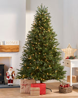 Pre-Lit Regal Spruce Multi-Function Christmas Tree