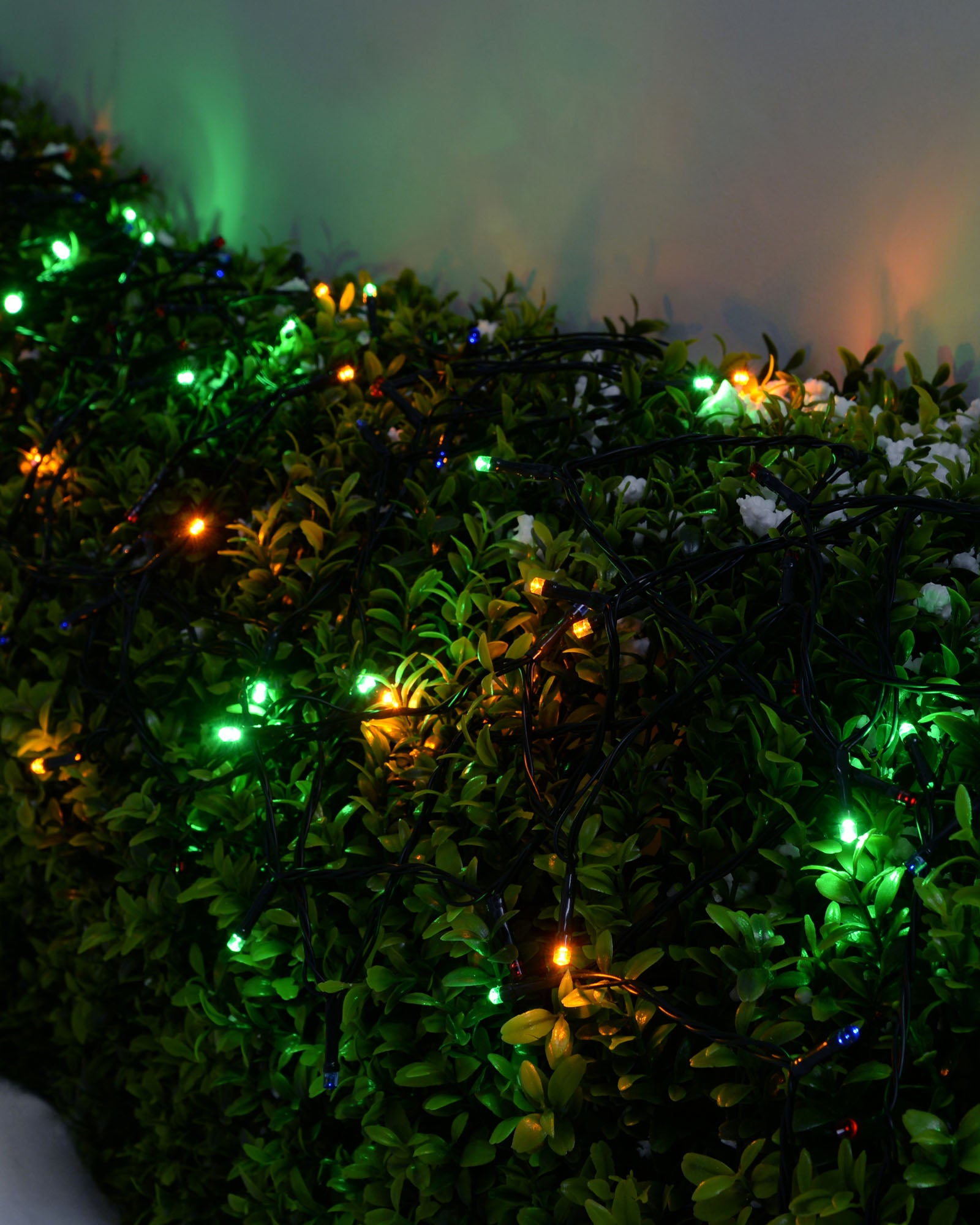 Multi-coloured LED light string displayed across outdoor greenery
